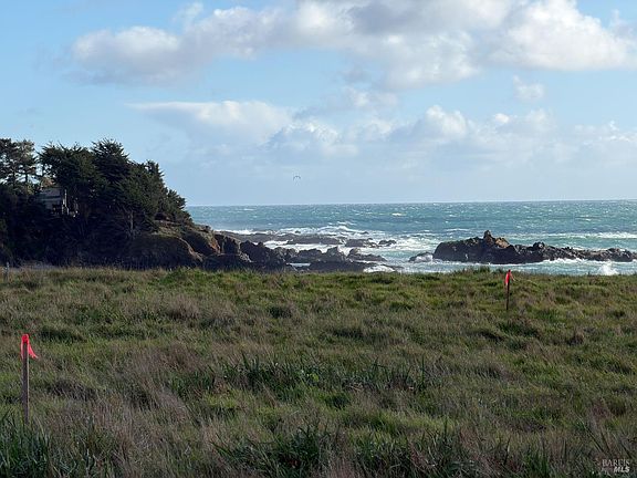 2nd image of 91 Wild Iris