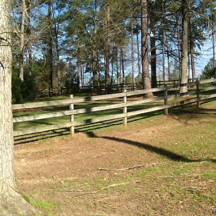 horses allowed