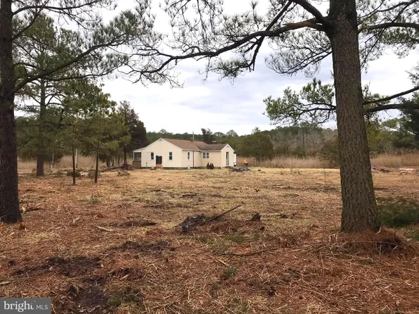 27289 Oriole Rd, Princess Anne, MD 21853