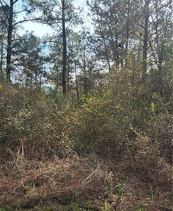 5th image of 0 Ray Keen Rd