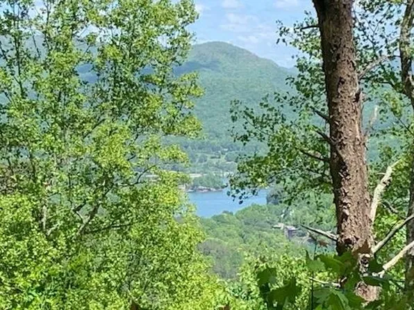 LOT 8 Hidden Summit Rd, Hiawassee, GA 30546