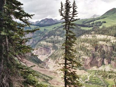 317 Forest Service Road, Crested Butte, CO, 81224
