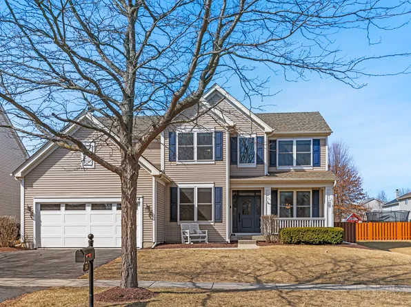 54 Leadville Ct, Gilberts, IL 60136