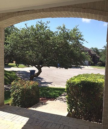 3rd image of 511 Wildgrove Ln