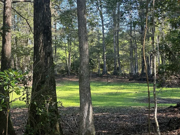 3972 E Millside Rd, Laurel Hill, FL 32567