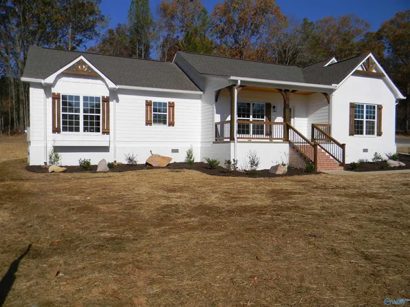 45 Ridge Rd, Leesburg, AL 35983