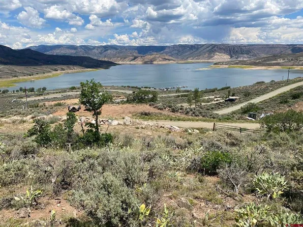42 Mackinaw Way, Sapinero, CO 81230