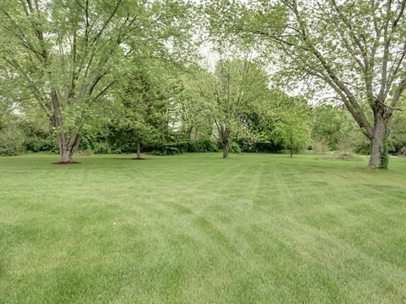 3 bed, 1560 sqft, $1,850 — Photo 3