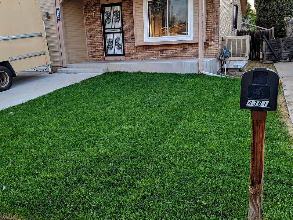 Front Yard