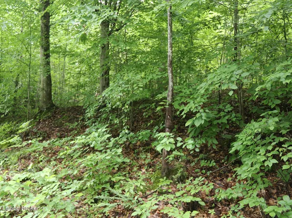 1 Oakmont Bay Dr, Bee Spring, KY 42207