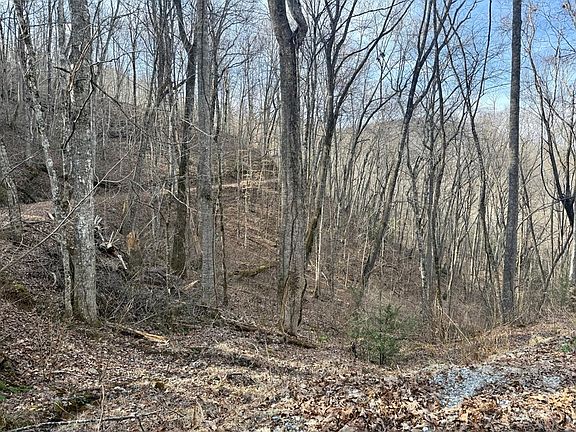 3rd image of 0 Battle Branch Rd