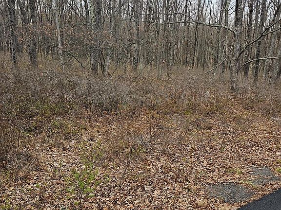 5th image of 0 E Point Rd