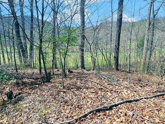 5th image of 44 Whispering Pines Trl