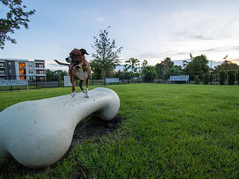 The Ellington at Oviedo Park — Photo 40