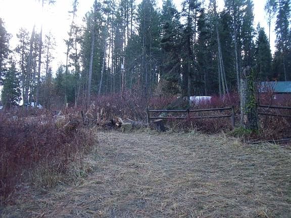 2nd image of 667 Joes Rd