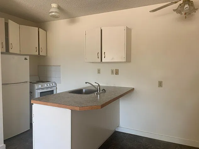 1 Bedroom Pet Friendly Apartments at Bridgeview!! — Photo 4