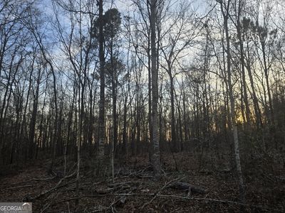0 Honeysuckle Rd, Dublin, GA, 31021