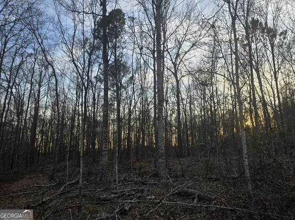 0 Honeysuckle Rd, Dublin, GA 31021