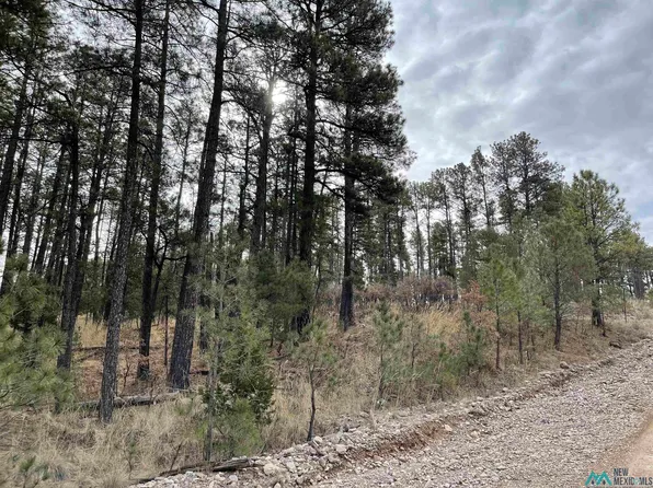 37 Carson Dr, Timberon, NM 88350