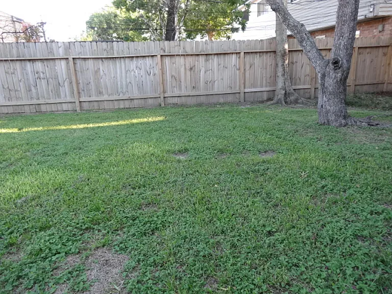 5522 Deep Forest Dr — Photo 38