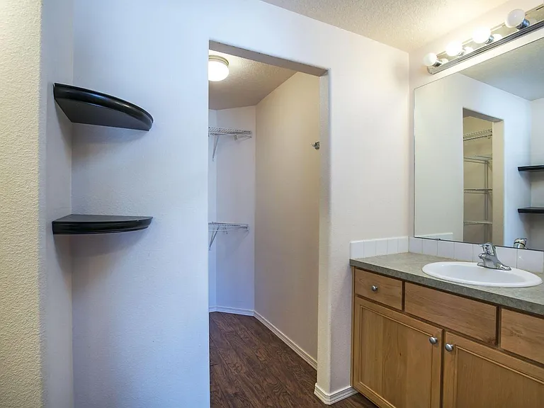 Primary Bathroom and Closet