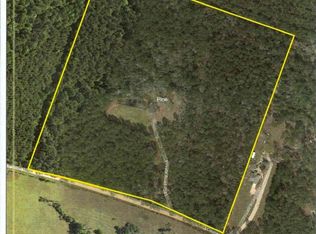 0 County Road 3110, Call, TX 75933