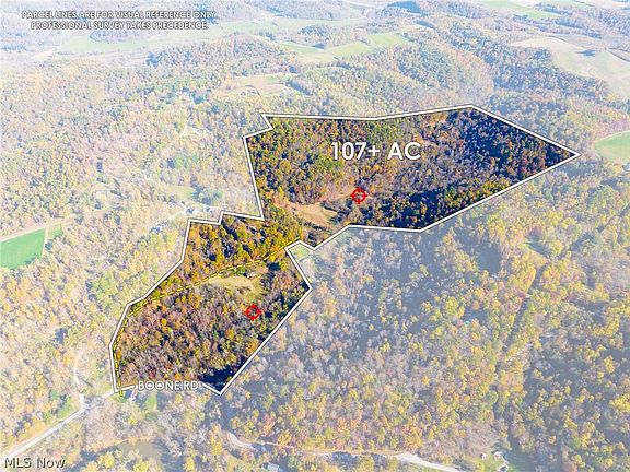 2nd image of Plum Rd