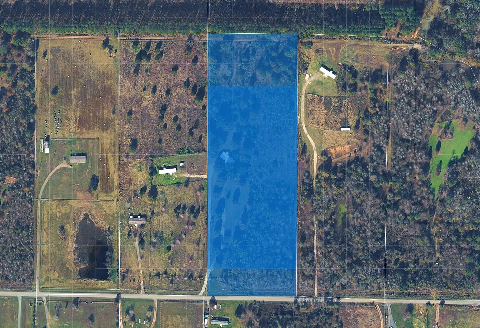 A Deer Hunter's Dream! 10.92 Beautiful Acres With Abundant Wildlife & Endless Outdoor Possibilities! — Photo 2