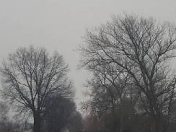 Exterior Neighborhood (street photo)