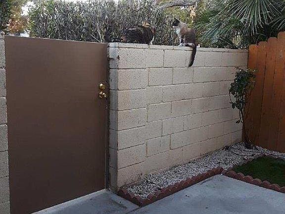 5th image of 2249 Tall Pine Dr