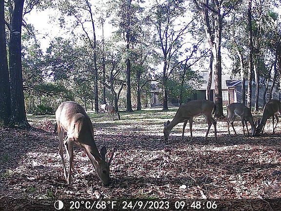 5th image of 3850 Preston Sheffield Rd Lot Wp001
