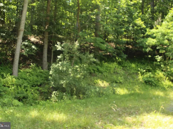 0 Nethers Rd, Sperryville, VA 22740