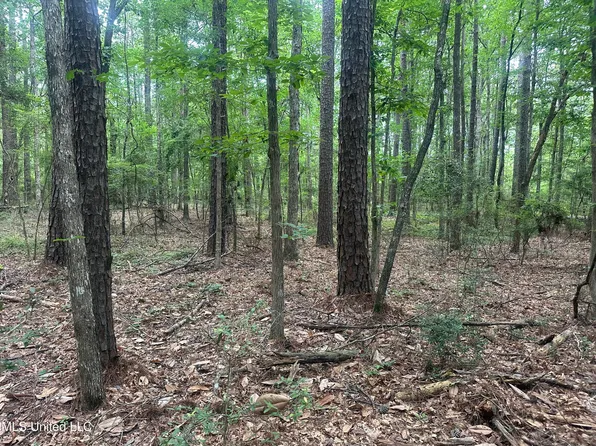 Watts Ln NW, Brookhaven, MS 39601