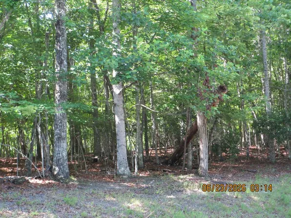8 S Quail Cove Cir, Warne, NC 28909