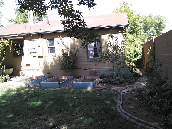 Garden boxes and fruit trees