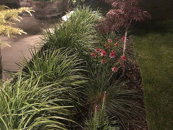 4th image of 10637 S Harvest Pointe Dr