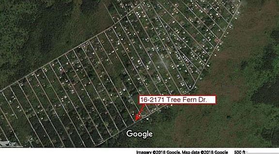 2nd image of 16-2171 Treefern Dr