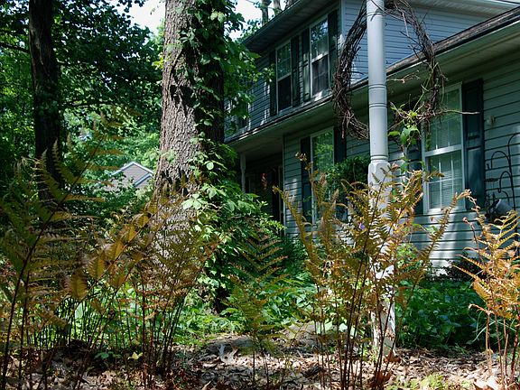 House front and frontyard