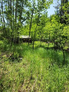 11670 Rochford Rd, Hill City, SD, 57745