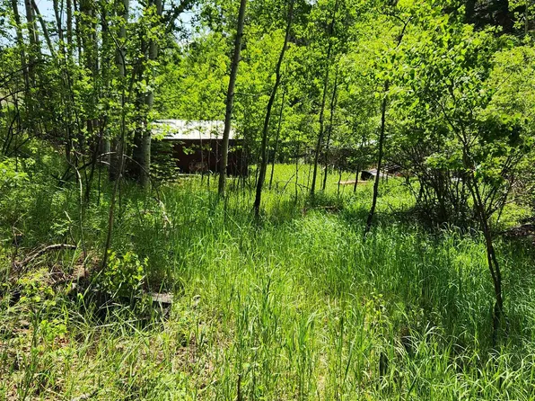 11670 Rochford Rd, Hill City, SD 57745