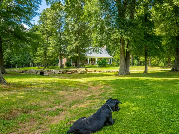 469 County Road 732, Bryant, AL 35958
