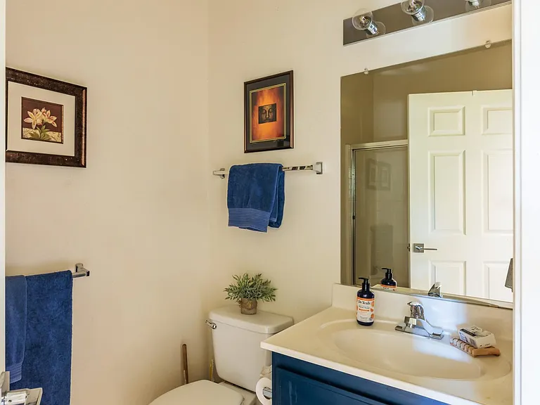 Dusty Rose Dr — Photo 28