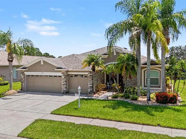 11230 WEDGEMERE DRIVE, TRINITY, FL 34655