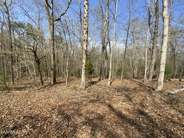 0 Rendezvous Rd Lot 21, Rockwood, TN 37854