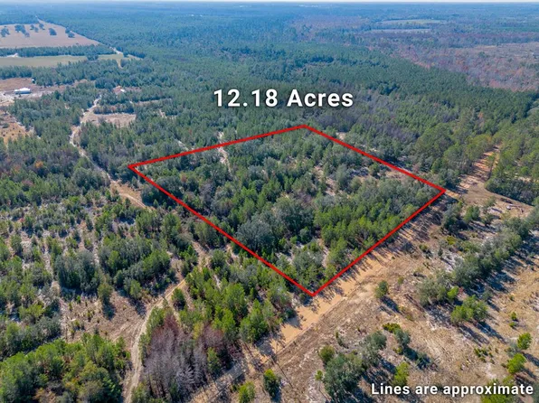 503 Old McHaus Ln, Nicholls, GA 31554