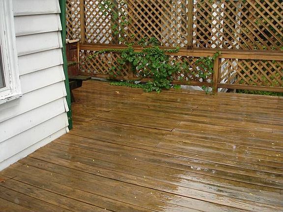 Deck in Back