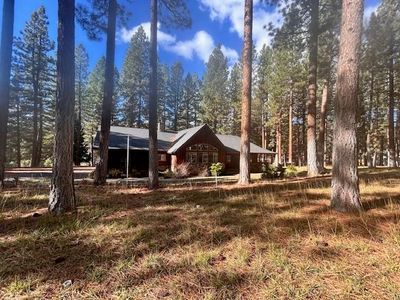 5046 Grizzly Rd, Portola, CA, 96122