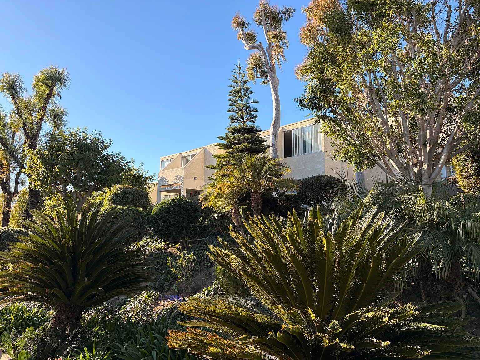 Westwood Village Apartments — Photo 1