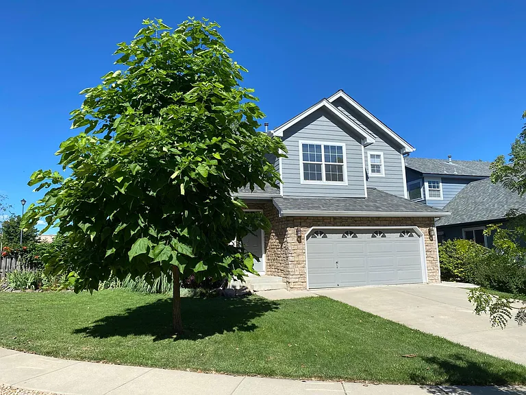 407 Arbor Dr — Photo 3