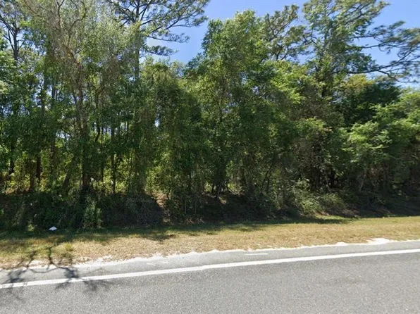 SE 17th St Lot 27, Ocklawaha, FL 32179